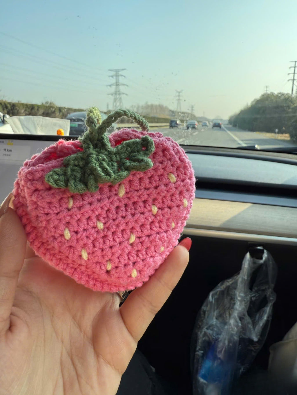 Fruity Crochet Bottle Buddy